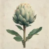 Leinwand Artischocke 30 x 30 cm
