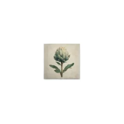 Leinwand Artischocke 30 x 30 cm
