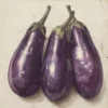 Leinwand Aubergine 30 x 30 cm