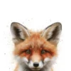 Leinwand Baby Fox 30 x 45 cm