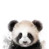 Leinwand Baby Panda 30 x 45 cm