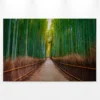 Leinwandbild Bambuswald, grün, 90x60 cm DD120306