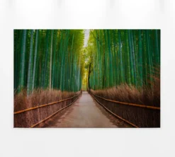 Leinwandbild Bambuswald, grün, 90x60 cm DD120306
