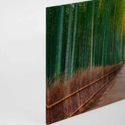 Leinwandbild Bambuswald, grün, 90x60 cm DD120306