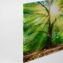 Leinwandbild Baum, grün, 90x60 cm DD120310