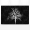 Leinwandbild Baum, weiß, 90x60 cm DD120358