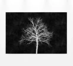 Leinwandbild Baum, weiß, 90x60 cm DD120358