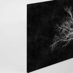 Leinwandbild Baum, weiß, 90x60 cm DD120358