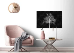 Leinwandbild Baum, weiß, 90x60 cm DD120358