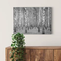 Leinwandbild Birkenwald, schwarz, 70x50 cm DD123018