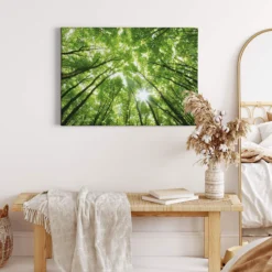 Leinwandbild Bäume, grün, 70x50 cm DD123013