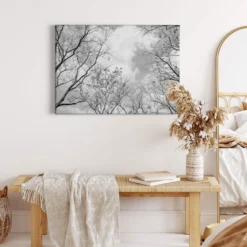 Leinwandbild Bäume, weiß, 70x50 cm DD123019