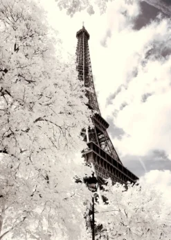 Leinwandbild Eiffelturm, sepia, 50x70 cm DD123113