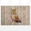 Leinwandbild Eule, braun, 90x60 cm DD120479