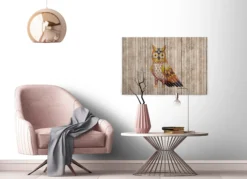 Leinwandbild Eule, braun, 90x60 cm DD120479