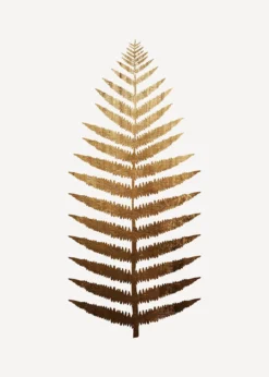 Leinwandbild Farn, gold, 50x70 cm DD123155