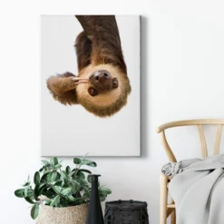 Leinwandbild Faultier, braun, 50x70 cm DD123131