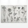 Leinwandbild Floralillustrationen, grau, 90x60 cm DD120364