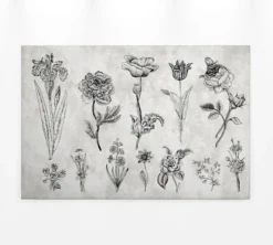 Leinwandbild Floralillustrationen, grau, 90x60 cm DD120364