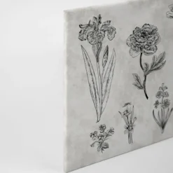 Leinwandbild Floralillustrationen, grau, 90x60 cm DD120364