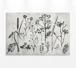 Leinwandbild Floralillustrationen, grau, 90x60 cm DD120363