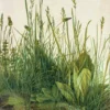 Leinwandbild Gräser, grün, 50x70 cm DD123152