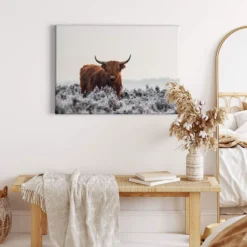 Leinwandbild Hochlandrind, braun, 70x50 cm DD123044