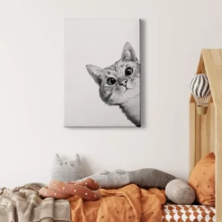 Leinwandbild Katze, weiß, 50x70 cm DD123175