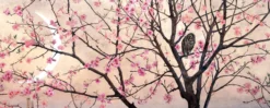 Leinwandbild Kirschblüten, rosa, 100x40 cm DD123239