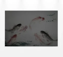 Leinwandbild Koi-Karpfen, grau, 90x60 cm DD120401