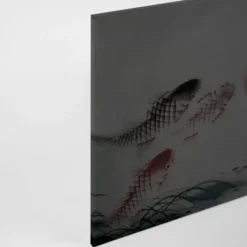 Leinwandbild Koi-Karpfen, grau, 90x60 cm DD120401