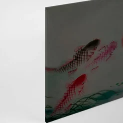 Leinwandbild Koi-Karpfen, grau, 90x60 cm DD120400
