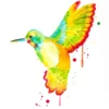 Leinwandbild Kolibri, gelb, 50x70 cm DD123171