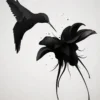 Leinwandbild Kolibri, schwarz, 50x70 cm DD123172