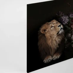Leinwandbild Löwe, goldbraun, 90x60 cm DD120388