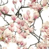 Leinwandbild Magnolien, weiß, 50x70 cm DD123114
