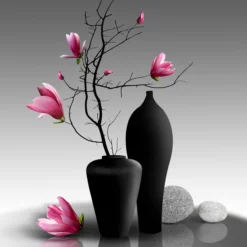 Leinwandbild Magnolienzweig, schwarz, 50x50 cm DD123261
