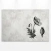 Leinwandbild Mohnblume, grau, 90x60 cm DD120368