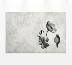 Leinwandbild Mohnblume, grau, 90x60 cm DD120368