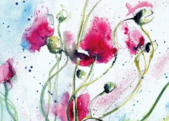 Leinwandbild Mohnblumen, blau, 70x50 cm DD123083