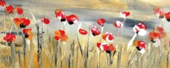 Leinwandbild Mohnblumen, rot, 100x40 cm DD123247