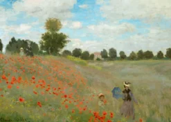 Leinwandbild Mohnblumen, rot, 70x50 cm DD123065