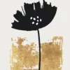 Leinwandbild Mohnblume, schwarz, 50x70 cm DD123156