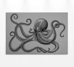 Leinwandbild Oktopus, grau, 90x60 cm DD120495