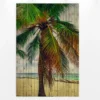 Leinwandbild Palme, braun, 60x90 cm DD120457