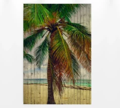 Leinwandbild Palme, braun, 60x90 cm DD120457