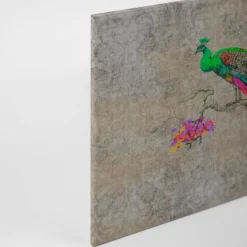 Leinwandbild Pfau, beige, 90x60 cm DD120497