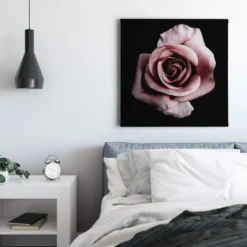 Leinwandbild Rose, rosa, 50x50 cm DD123256