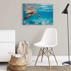 Leinwandbild Schildkröte, blau, 70x50 cm DD123046