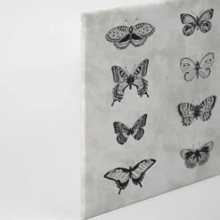 Leinwandbild Schmetterlinge, grau, 90x60 cm DD120365